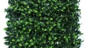 jardín vertical ficus