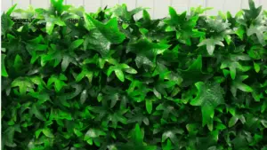 JARDÍN VERTICAL HIEDRA