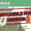 CESPED FLORIDA 20mm- DISPONIBLE PARA RESERVAR YA